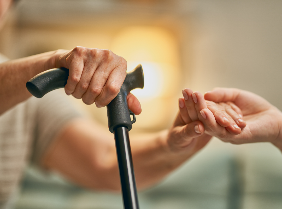 Finding the Best Elder Care Near Williamsport, PA